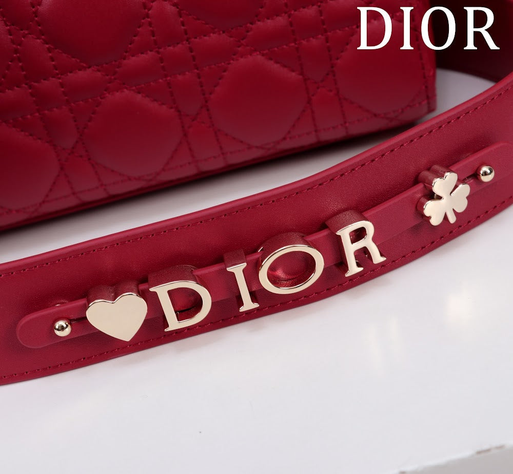 Ezyycart Bags Diorn Luxury Bag --115920