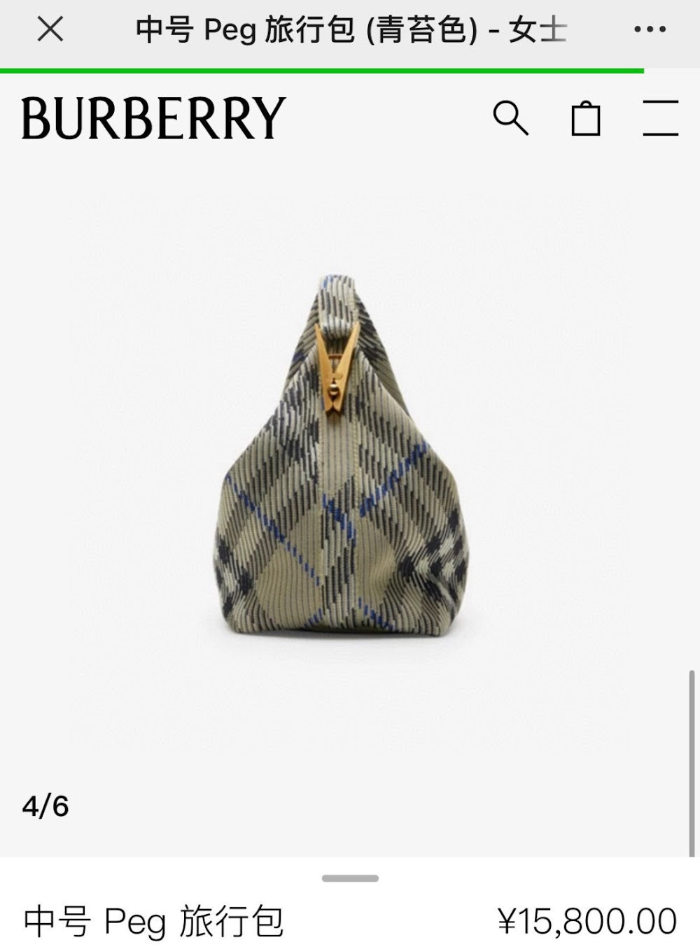 Ezyycart Bags Burberryn Luxury Bag --91573