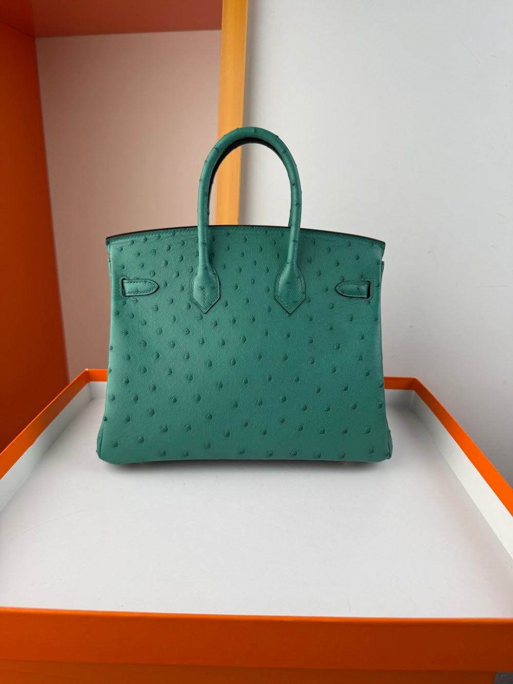 Anum Bags Hermesn Luxury Bag --116757
