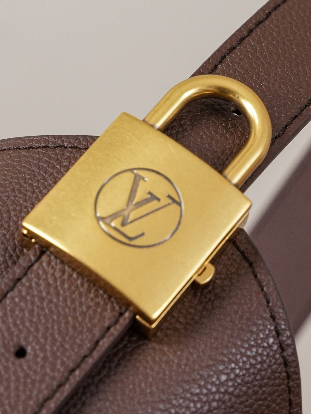 Anum Bags LVn Luxury Bag --79375