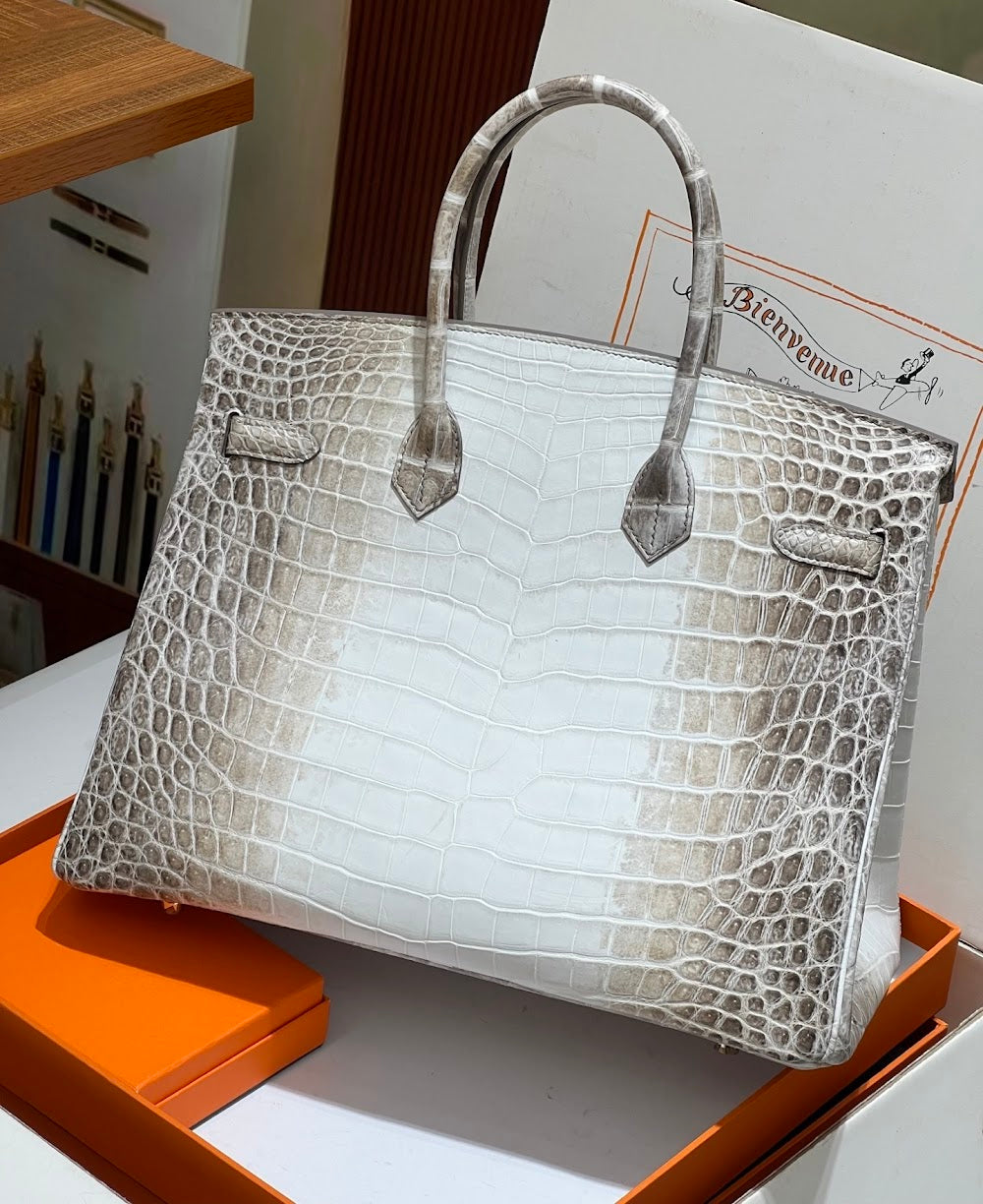 Anum Bags Hermesn Luxury Bag --116725