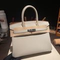 Anum Bags Hermesn Luxury Bag --117731