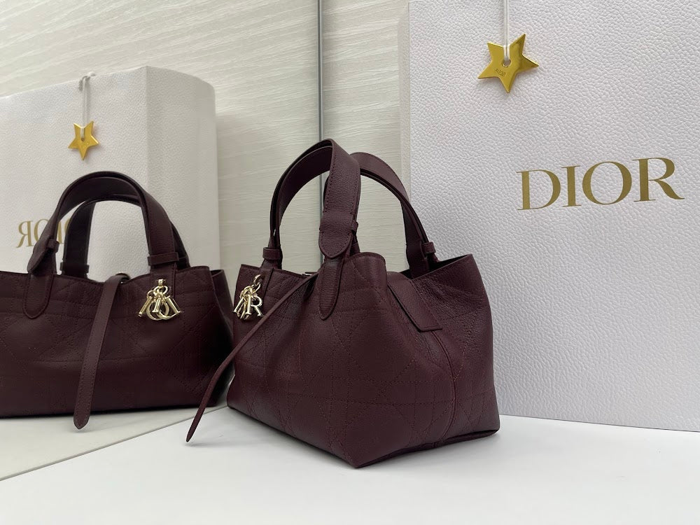 Ezyycart Bags Diorn Luxury Bag --115393