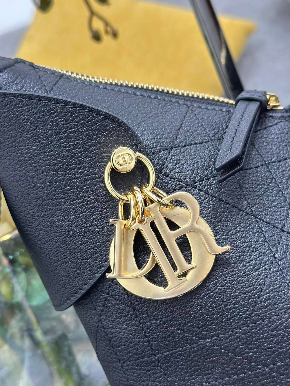 Anum Bags Diorn Luxury Bag --114548