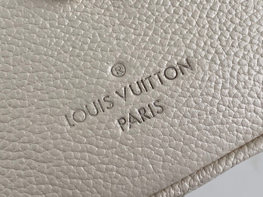 Ezyycart Bags ln Luxury Bag --57590