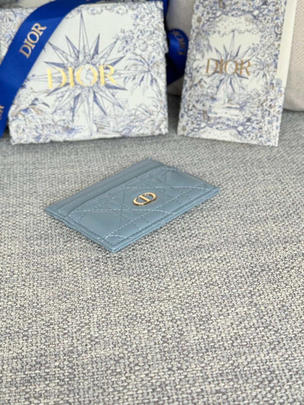 Anum Bags Diorn Luxury Bag --114526