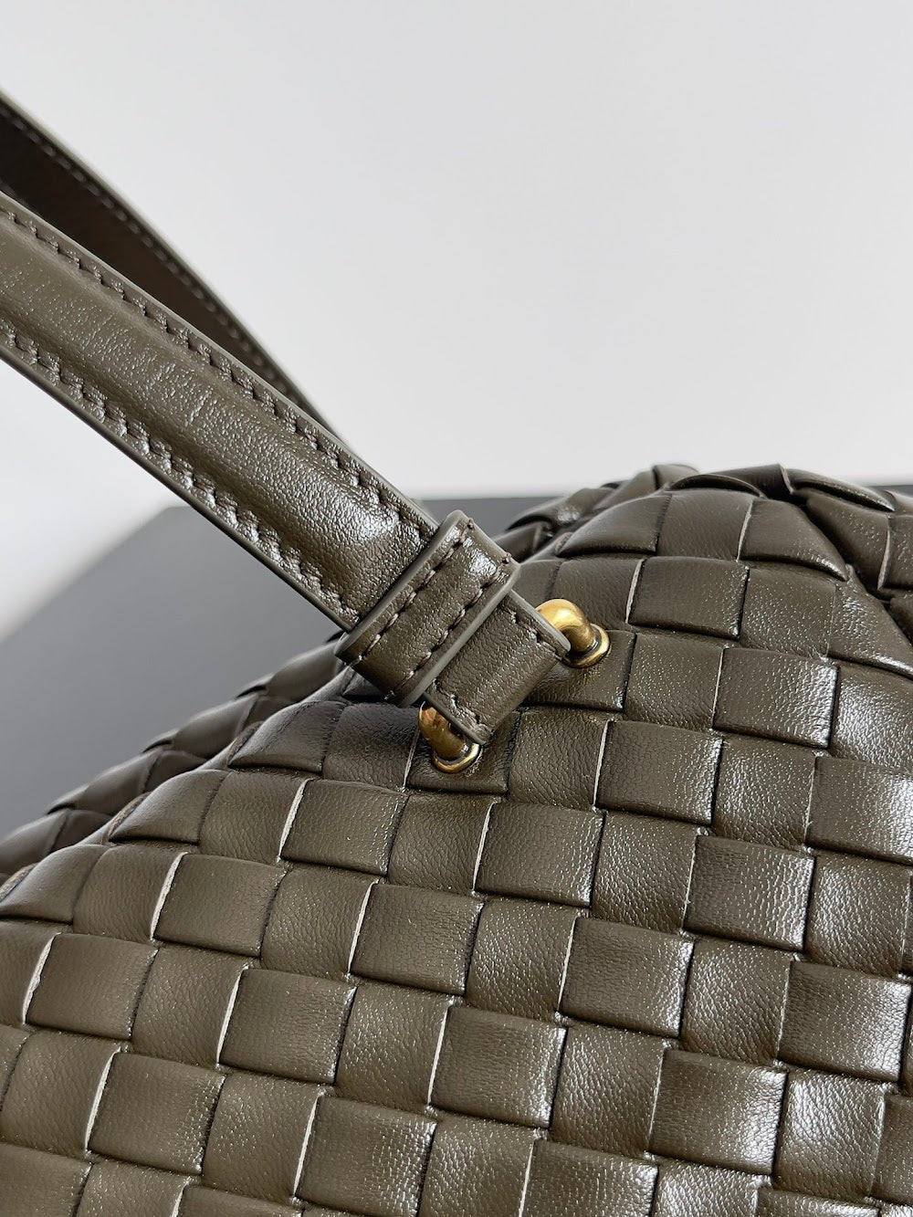 Ezyycart Bags Bottegan Luxury Bag --91285