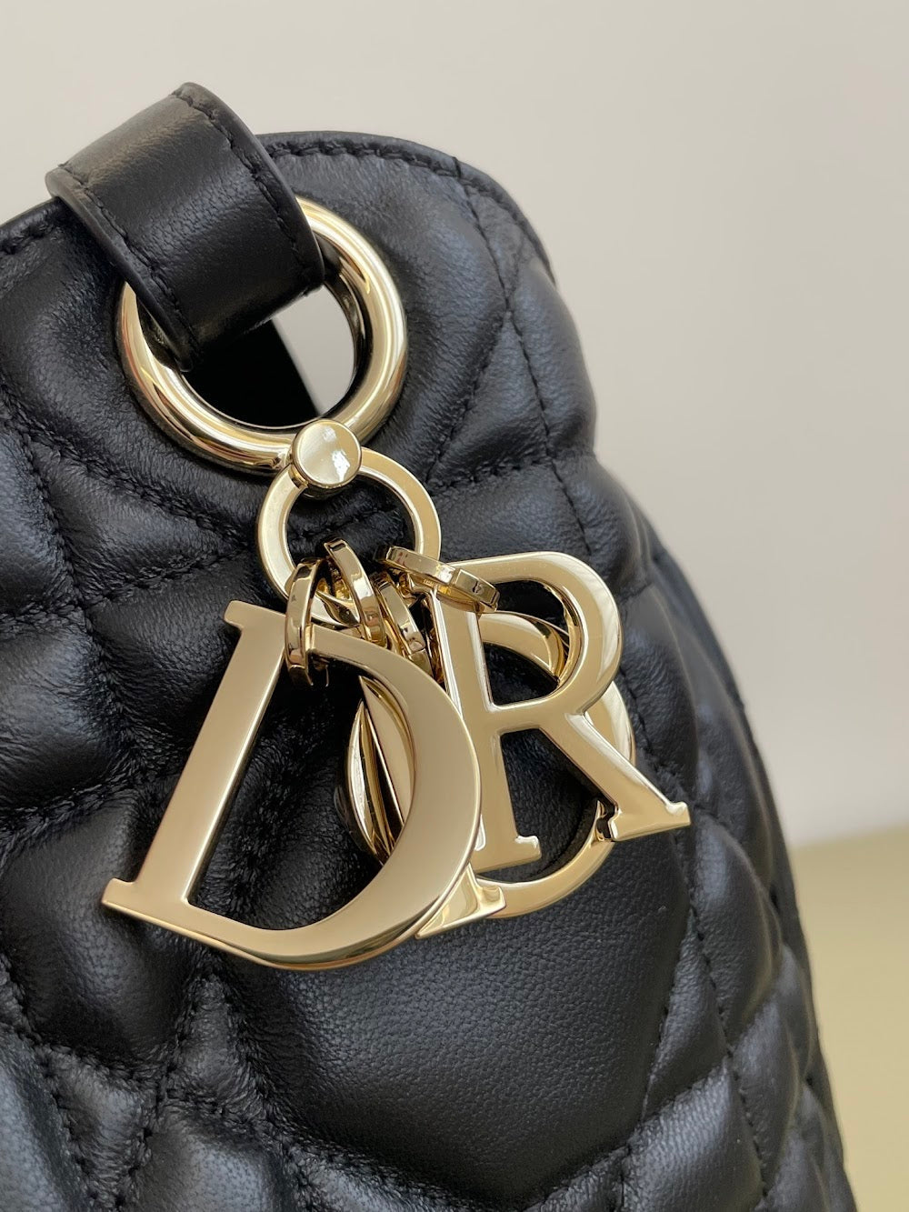 Anum Bags Diorn Luxury Bag --114960