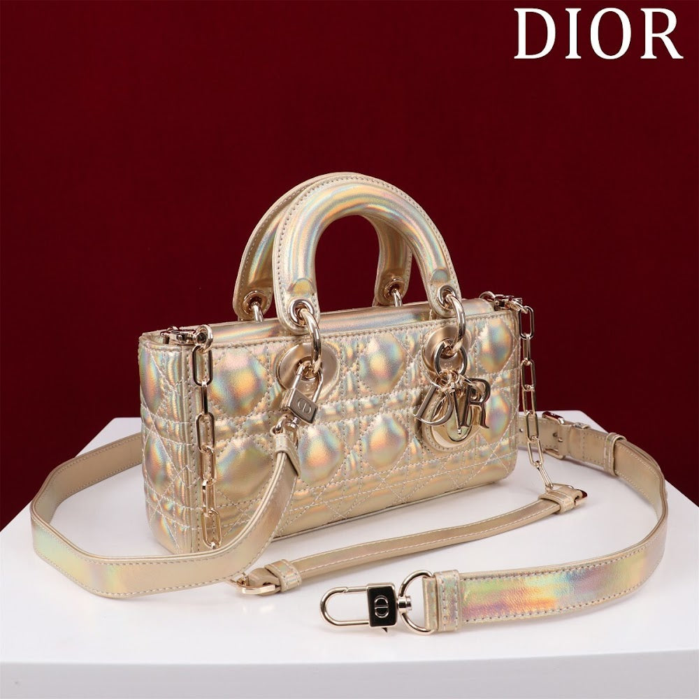Anum Bags Diorn Luxury Bag --114736