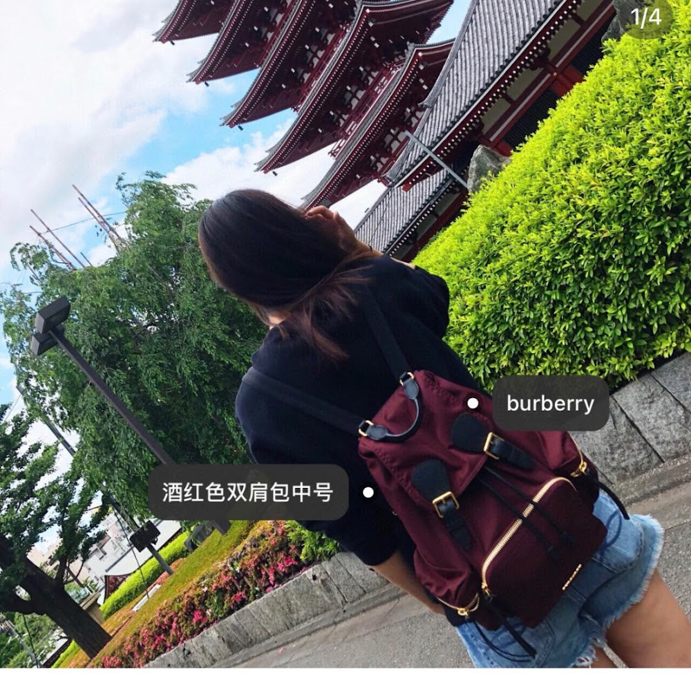 Ezyycart Bags Burberryn Luxury Bag --91733