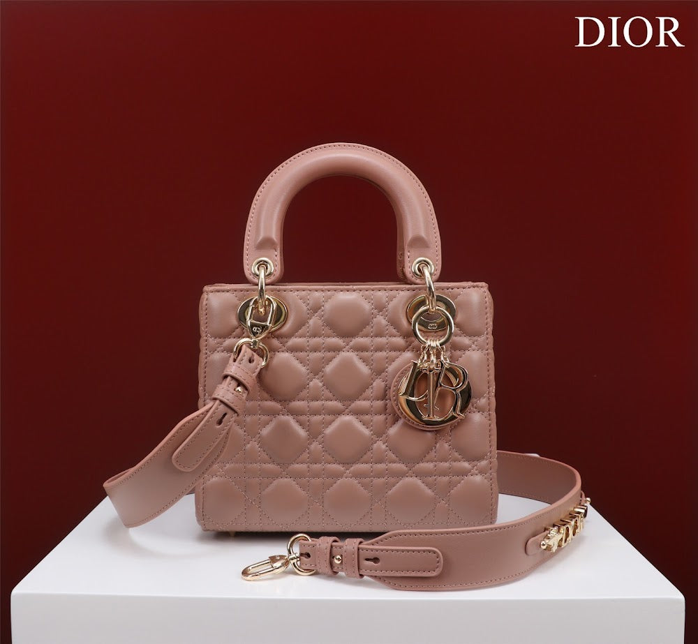 Ezyycart Bags Diorn Luxury Bag --115918