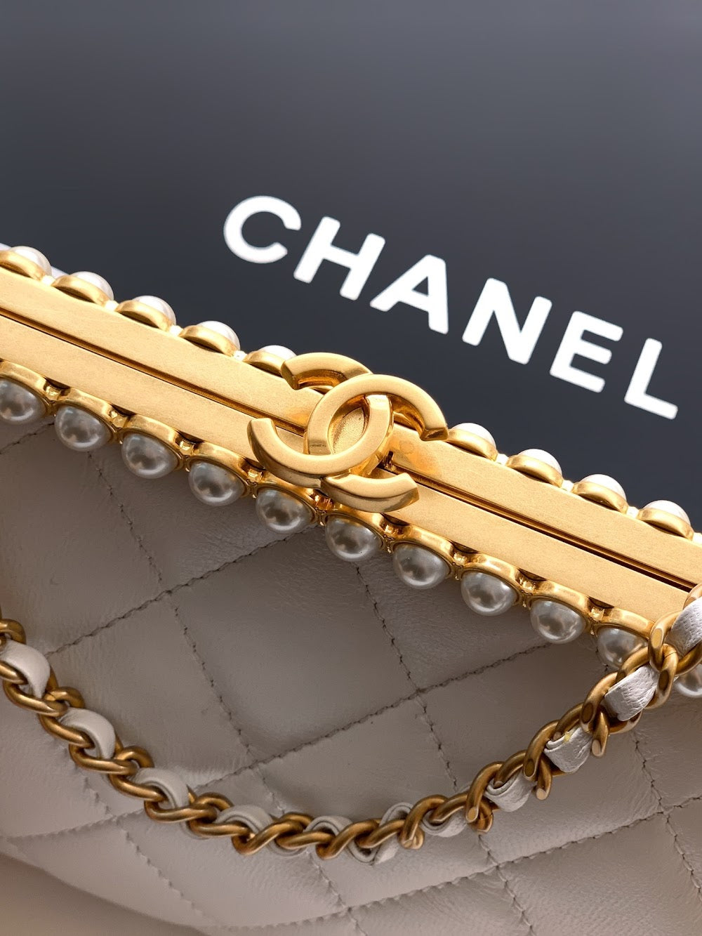 Anum Bags CHn Luxury Bag --112778