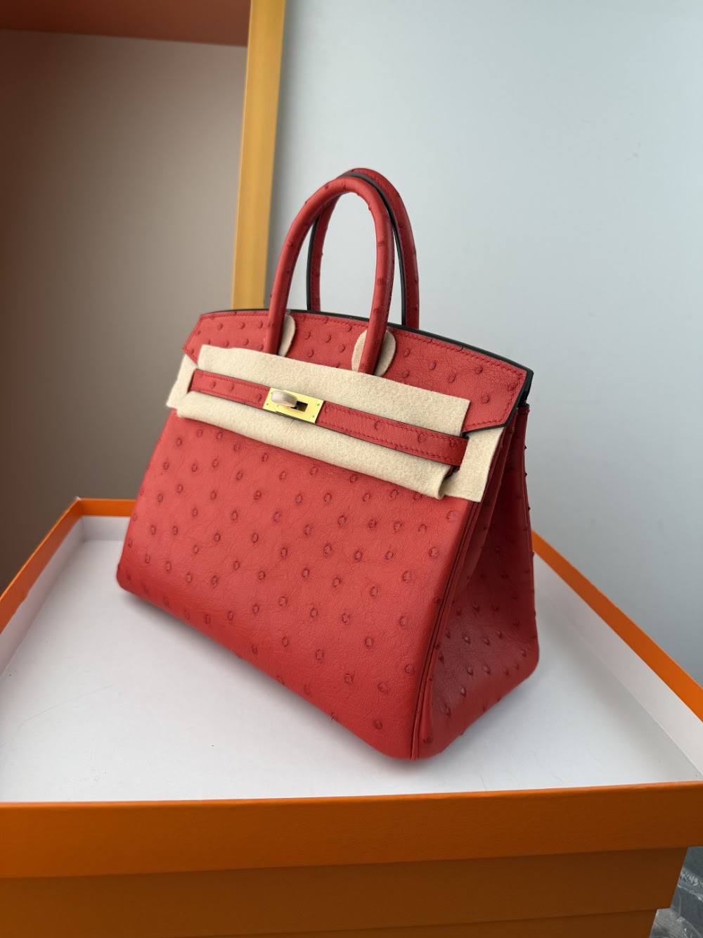 Anum Bags Hermesn Luxury Bag --116768