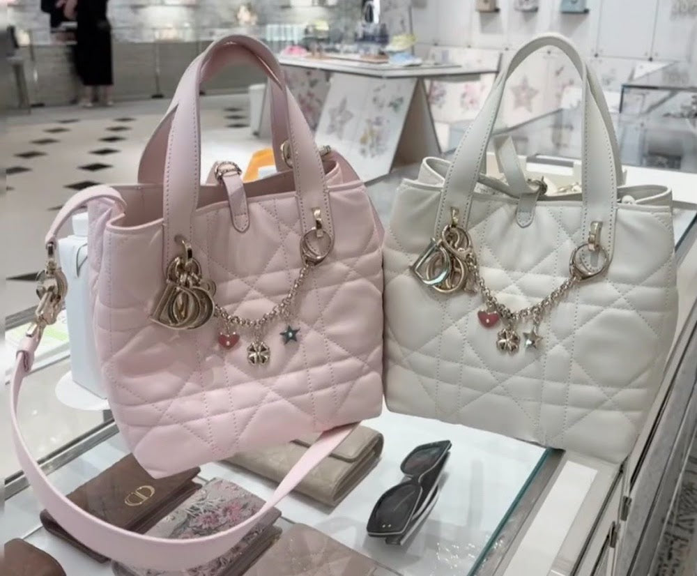 Ezyycart Bags Diorn Luxury Bag --115804