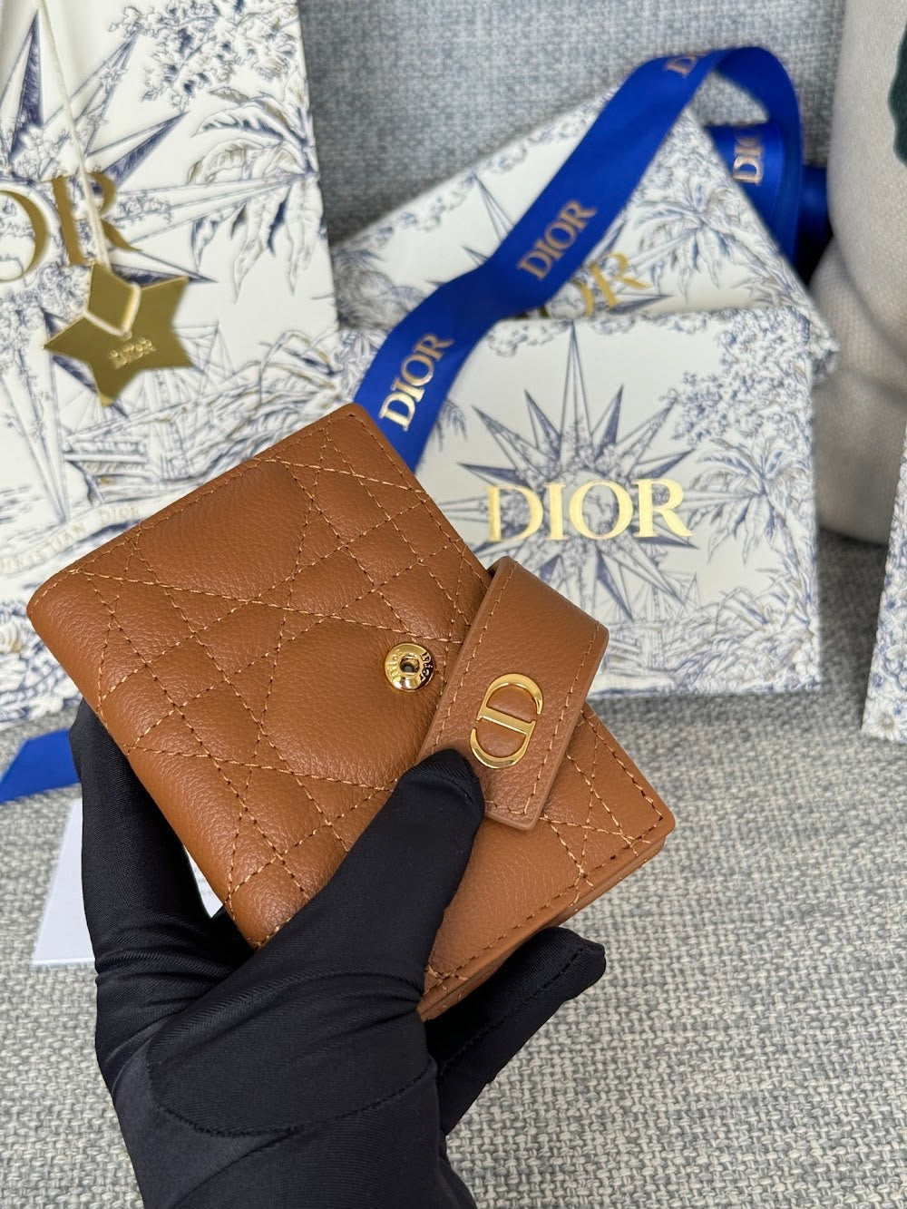 Anum Bags Diorn Luxury Bag --114581