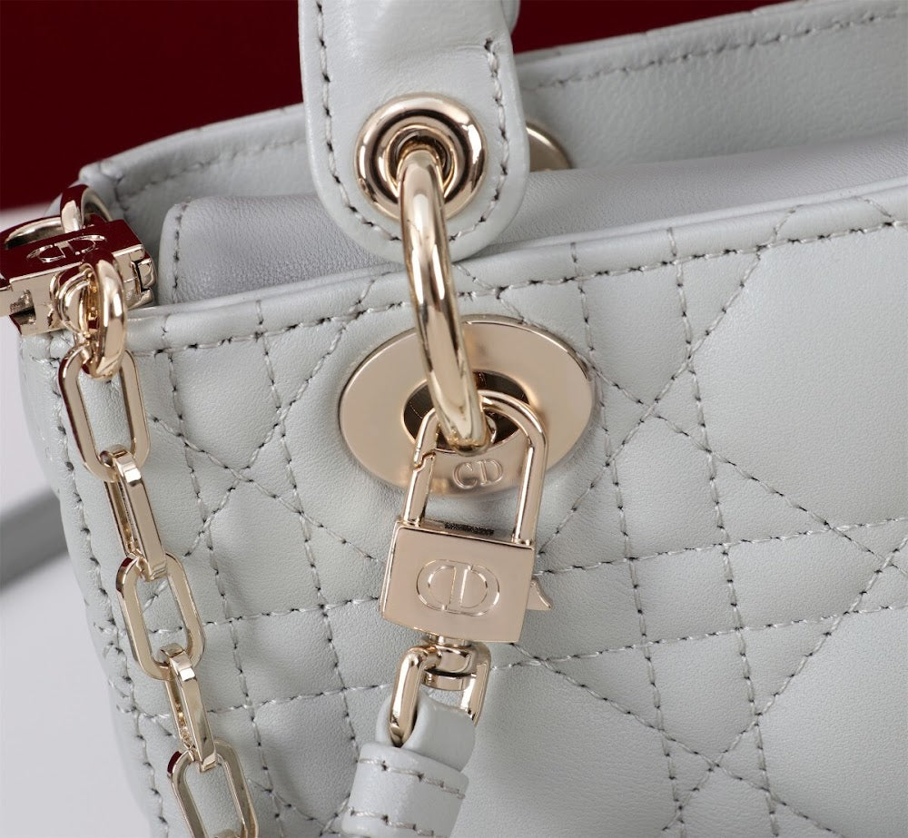 Ezyycart Bags Diorn Luxury Bag --116473