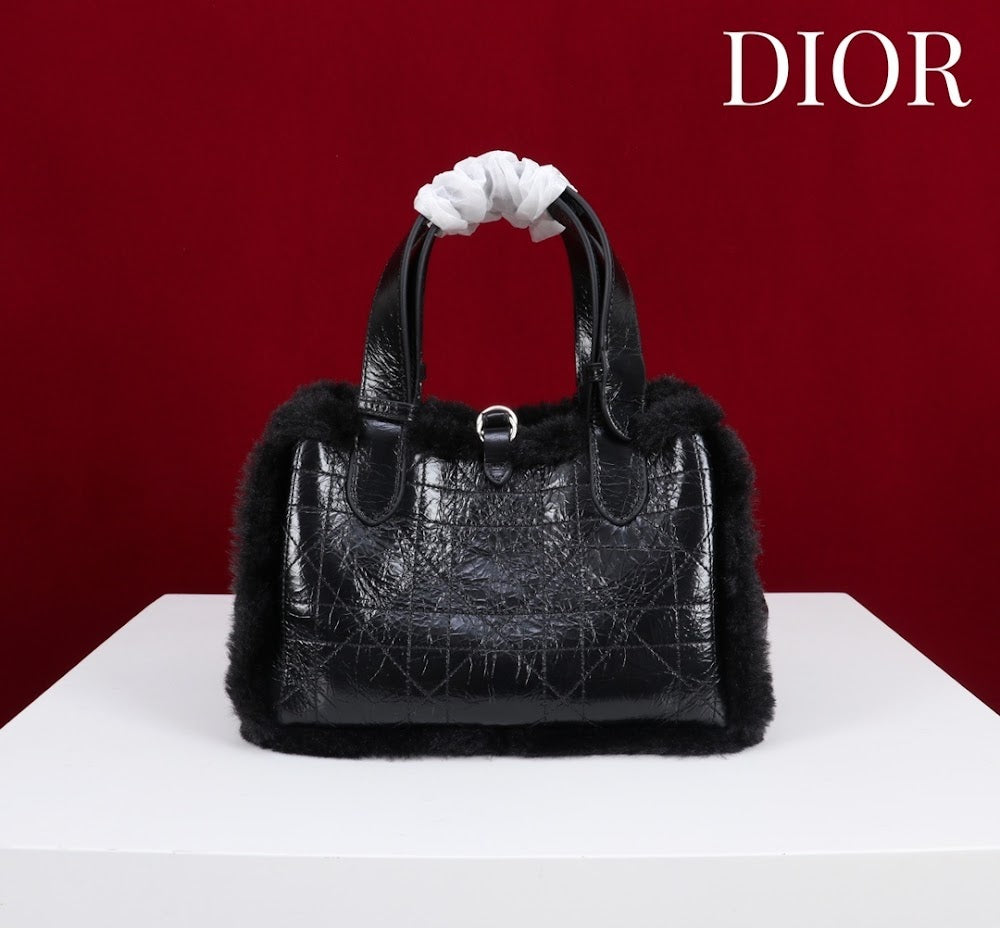Ezyycart Bags Diorn Luxury Bag --116120