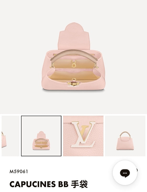 Anum Bags ln Luxury Bag --60503