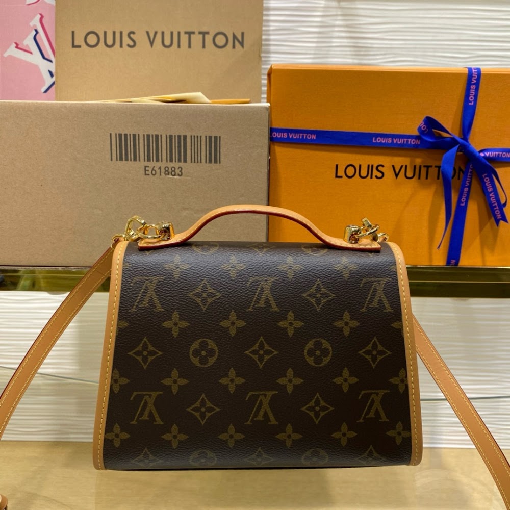 Anum Bags LVn Luxury Bag --80678