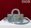 Anum Bags Diorn Luxury Bag --114728