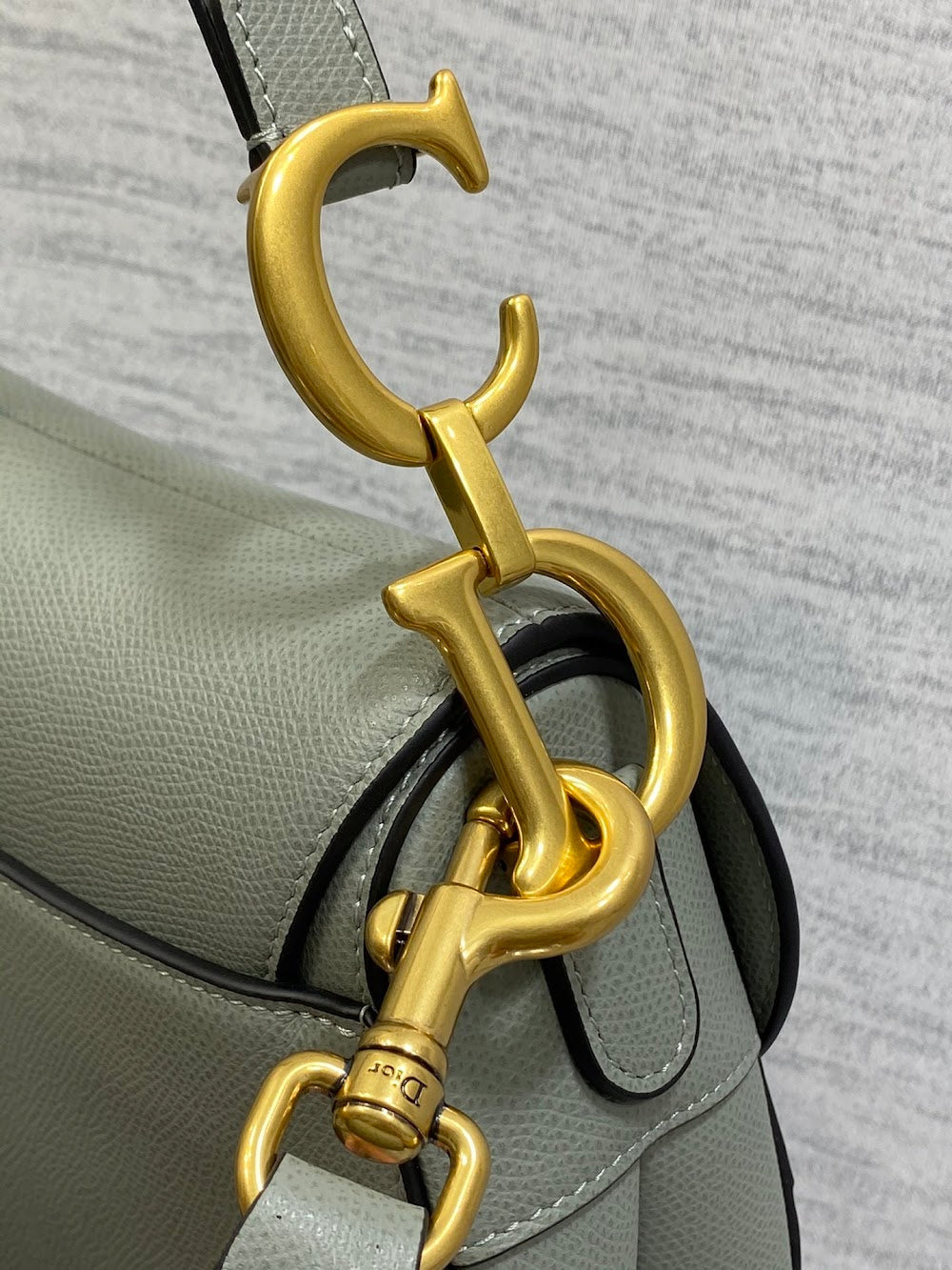Ezyycart Bags Diorn Luxury Bag --115001