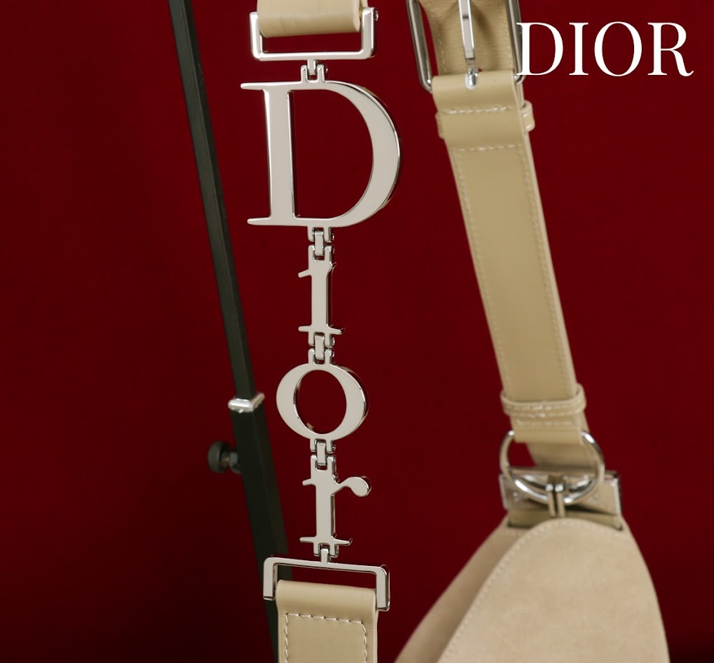 Ezyycart Bags Diorn Luxury Bag --115370
