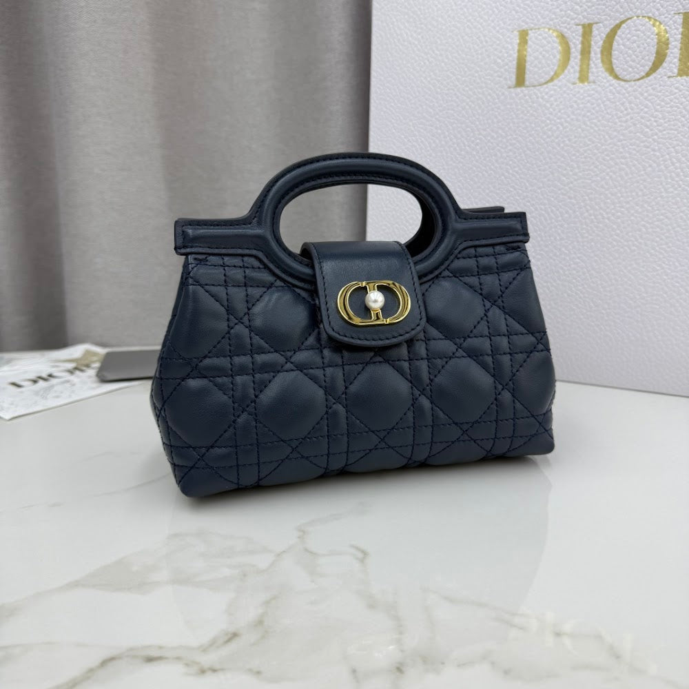 Ezyycart Bags Diorn Luxury Bag --116101