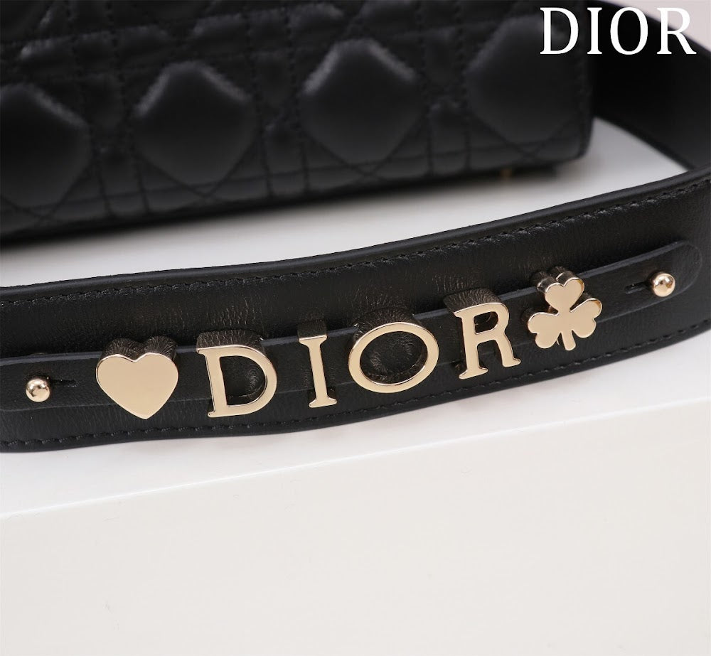 Ezyycart Bags Diorn Luxury Bag --115923