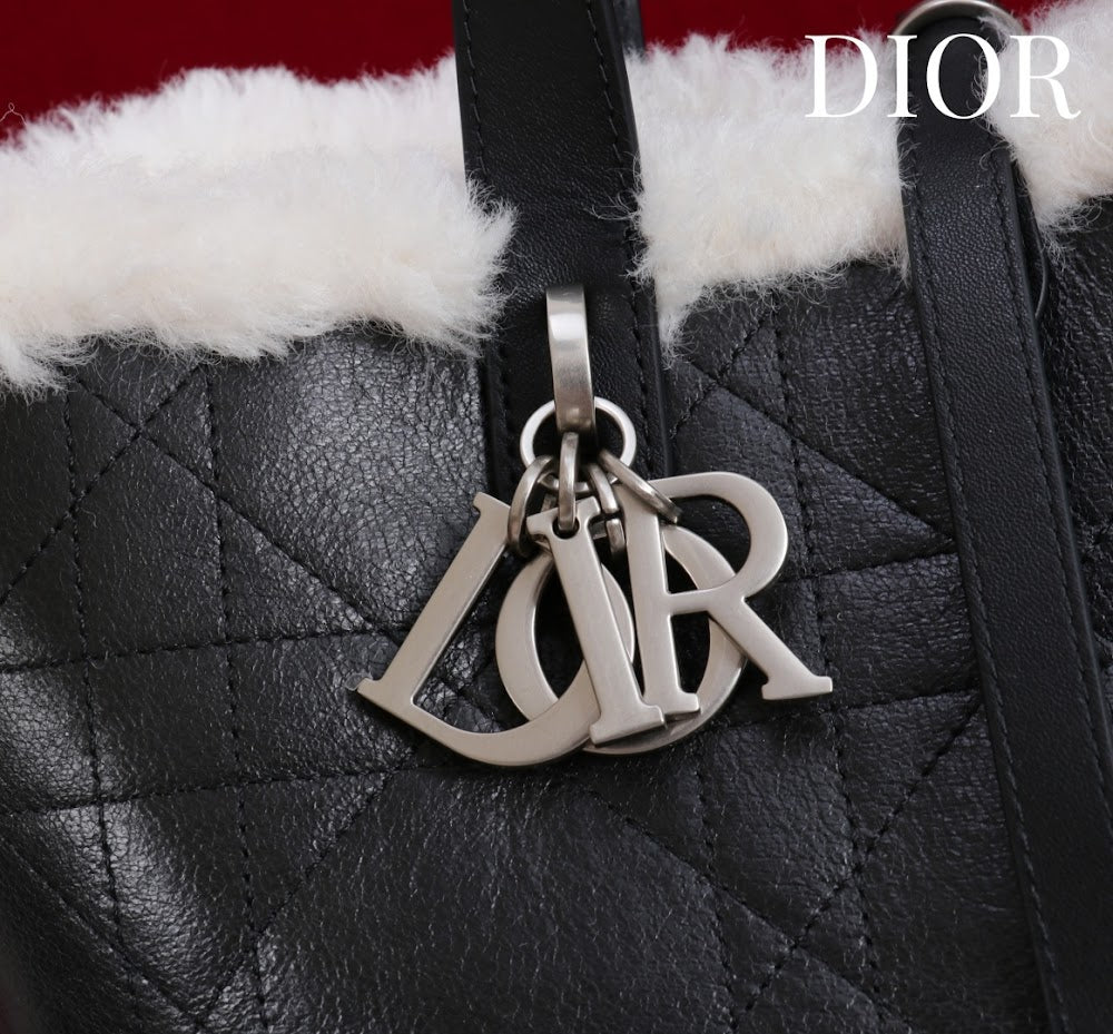 Anum Bags Diorn Luxury Bag --114887