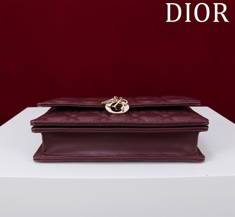 Ezyycart Bags Diorn Luxury Bag --116301
