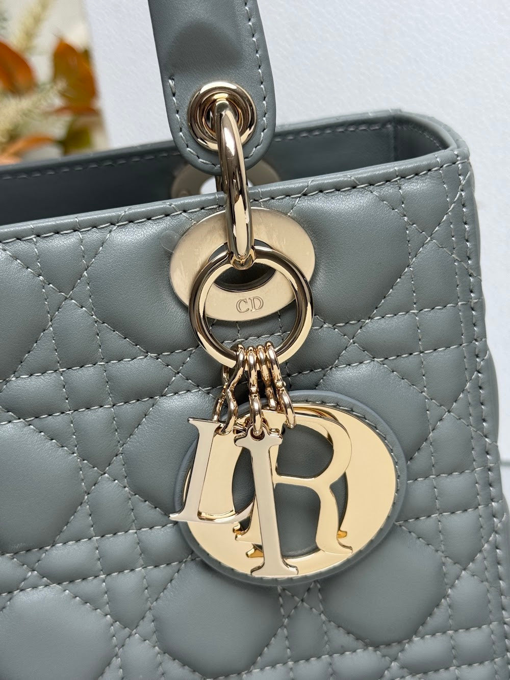 Ezyycart Bags Diorn Luxury Bag --116021