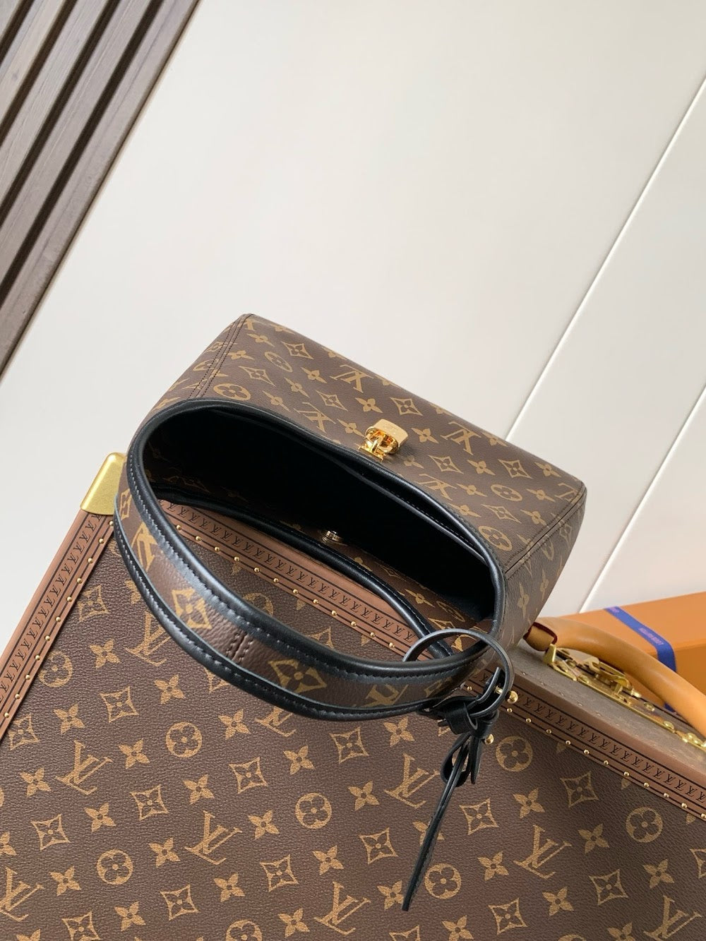 Ezyycart Bags LVn Luxury Bag --81081