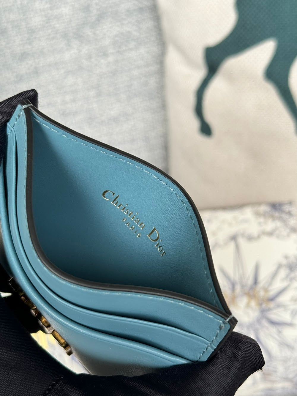 Anum Bags Diorn Luxury Bag --114649
