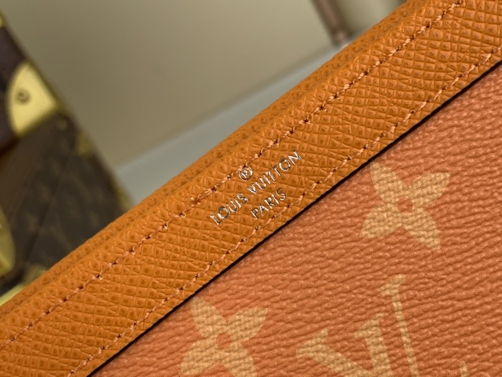 Anum Bags ln Luxury Bag --56953