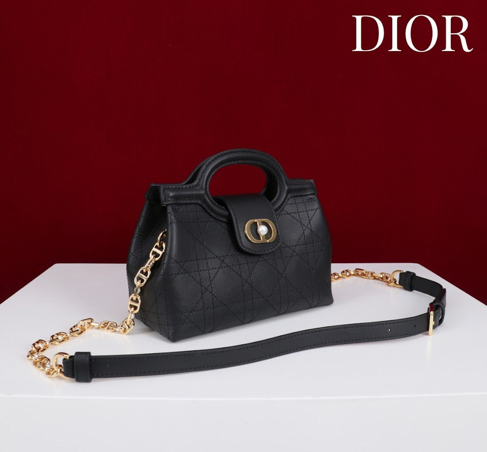 Anum Bags Diorn Luxury Bag --114445