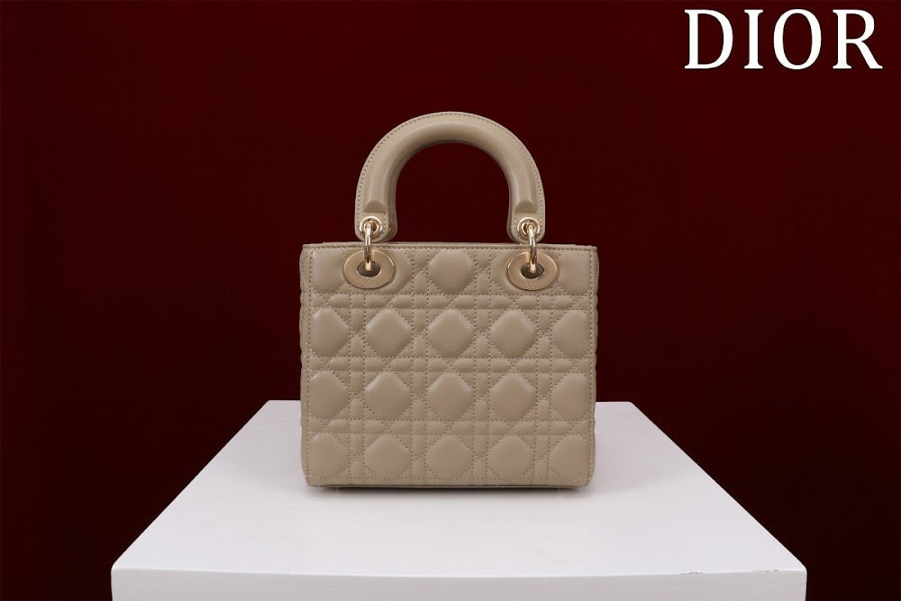 Ezyycart Bags Diorn Luxury Bag --115933