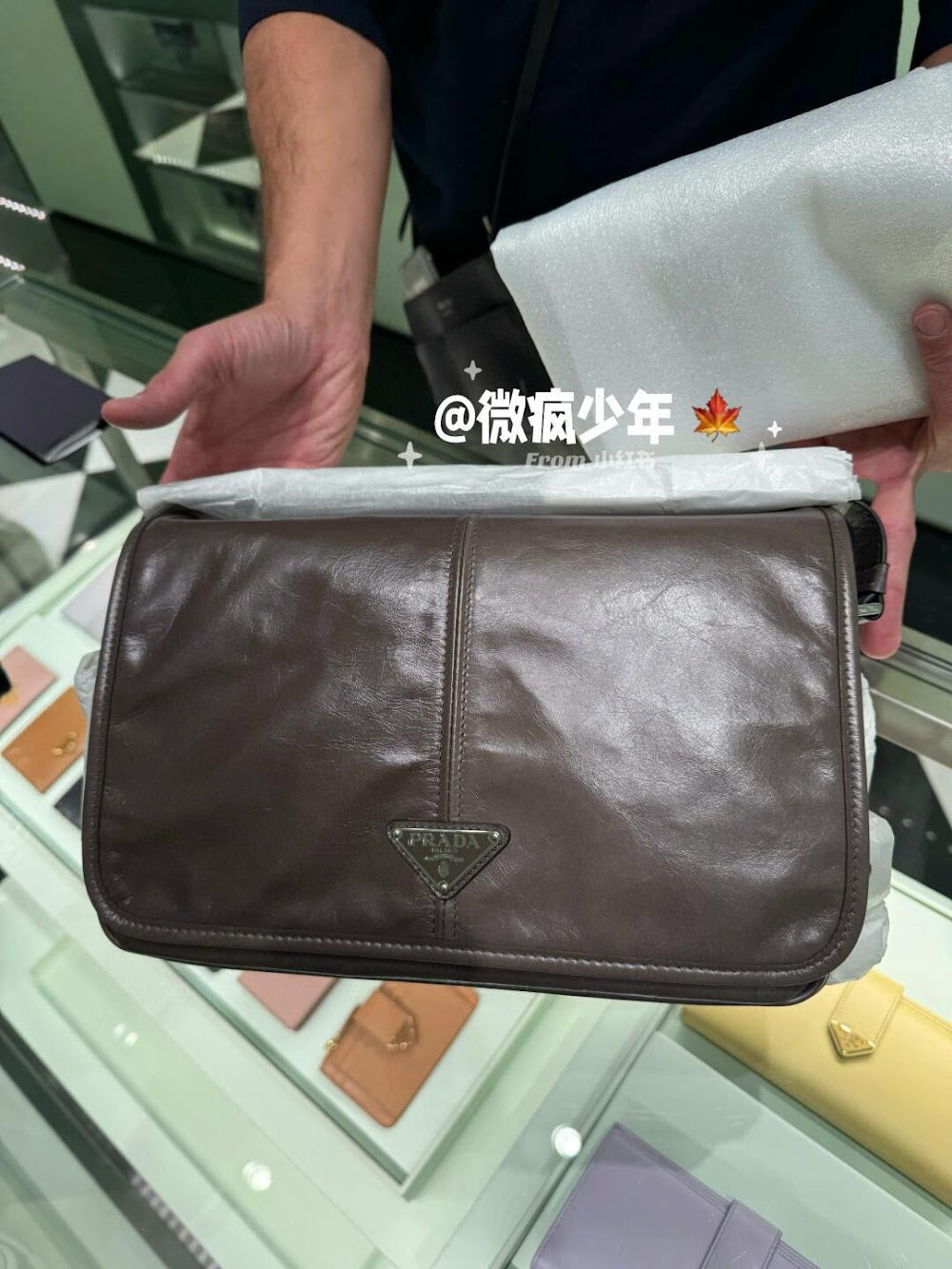 Ezyycart Bags Pradn Luxury Bag --102950