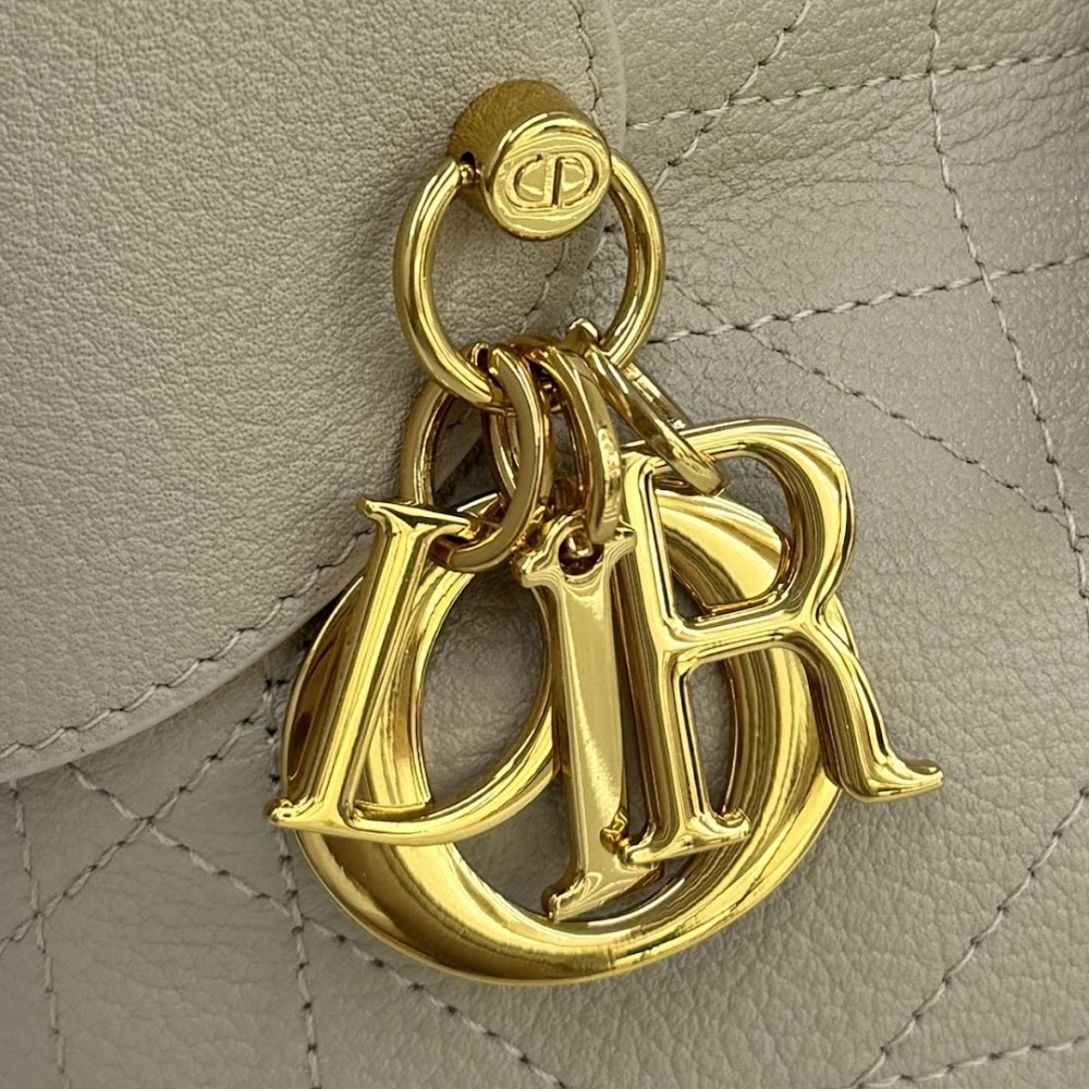 Ezyycart Bags Diorn Luxury Bag --115655