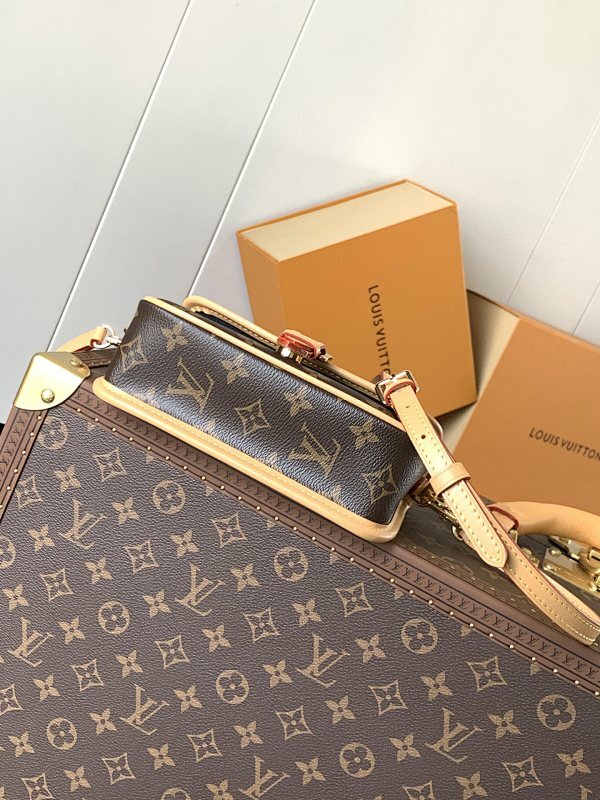 Anum Bags LVn Luxury Bag --79941