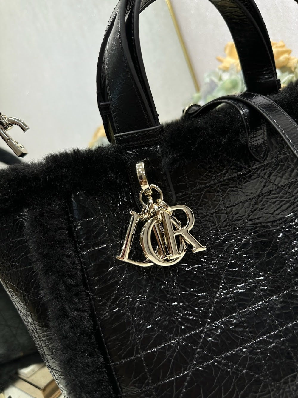 Ezyycart Bags Diorn Luxury Bag --116332