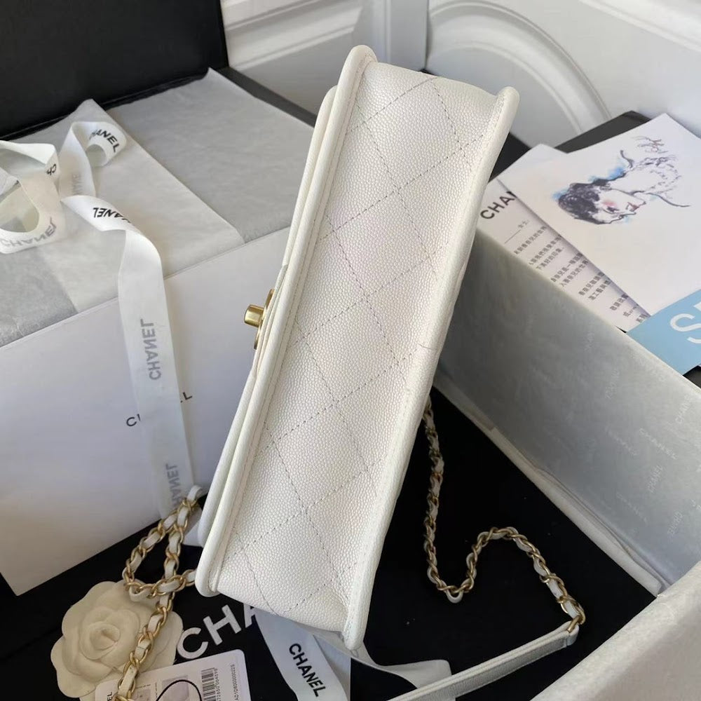 new-luxury-designer-bags-nm10064