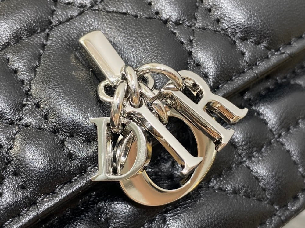 Ezyycart Bags Diorn Luxury Bag --115061