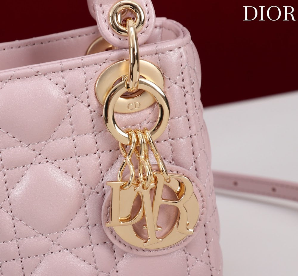 Ezyycart Bags Diorn Luxury Bag --116549
