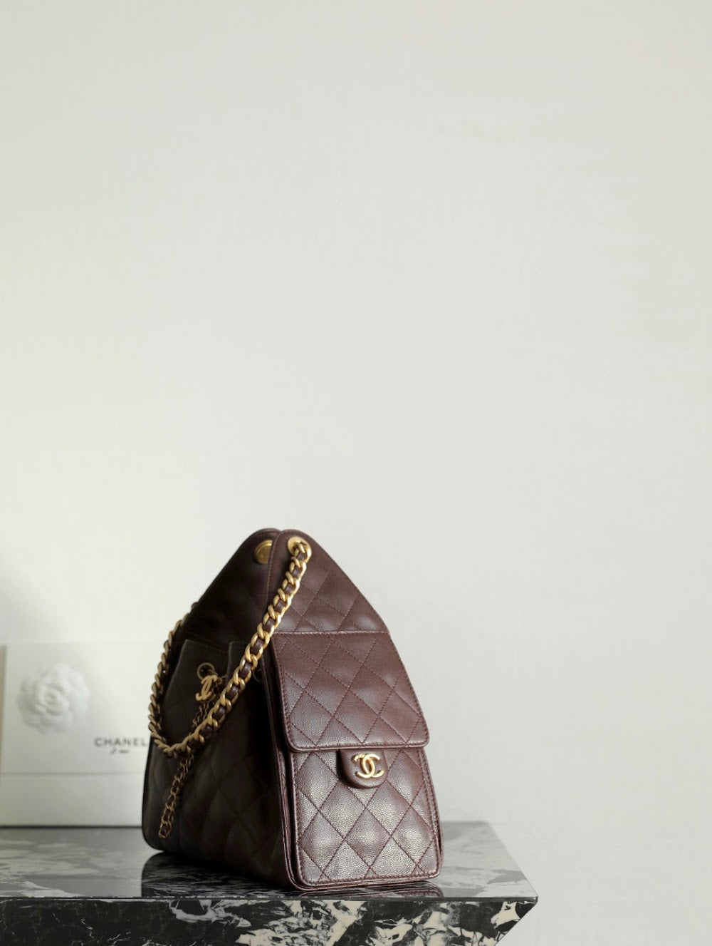 Anum Bags CHn Luxury Bag --113640