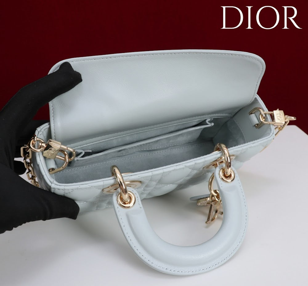 Anum Bags Diorn Luxury Bag --114789