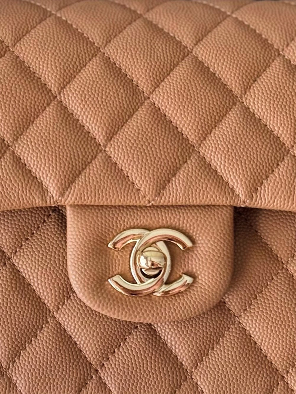 Anum Bags CHn Luxury Bag --112777