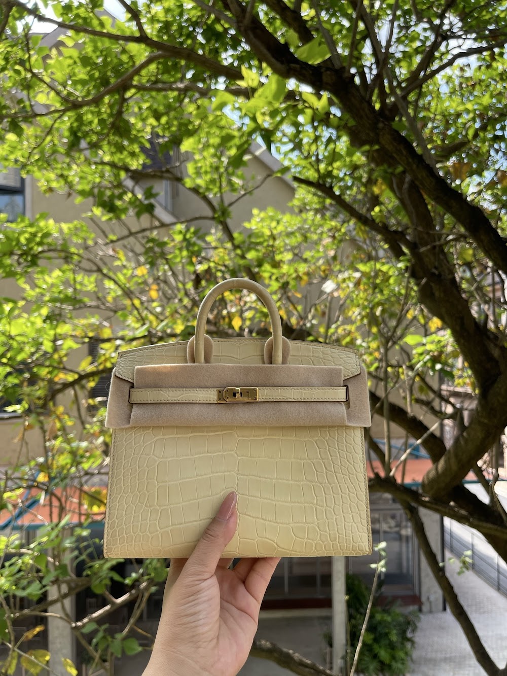 Anum Bags Hermesn Luxury Bag --117790