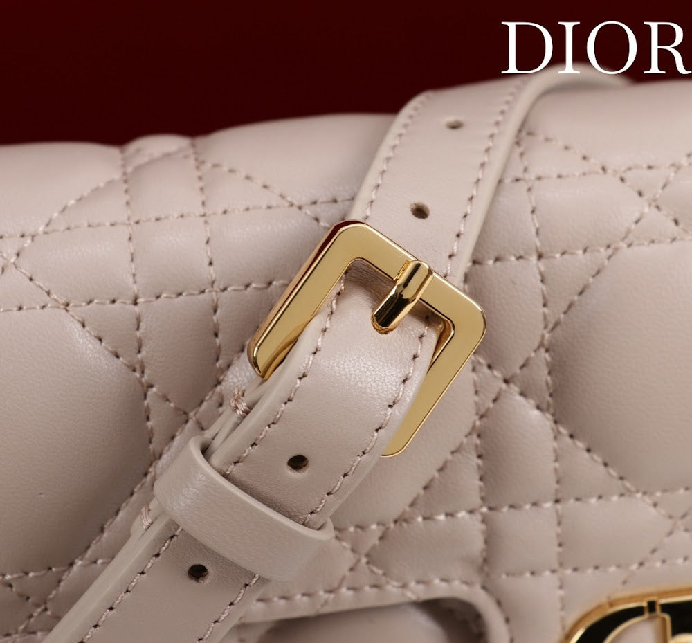 Ezyycart Bags Diorn Luxury Bag --116382