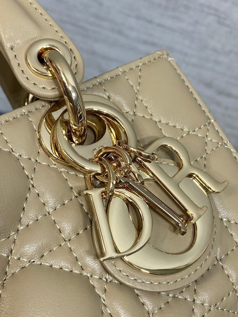 Ezyycart Bags Diorn Luxury Bag --116190