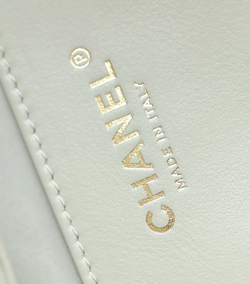 Anum Bags CHn Luxury Bag --113708